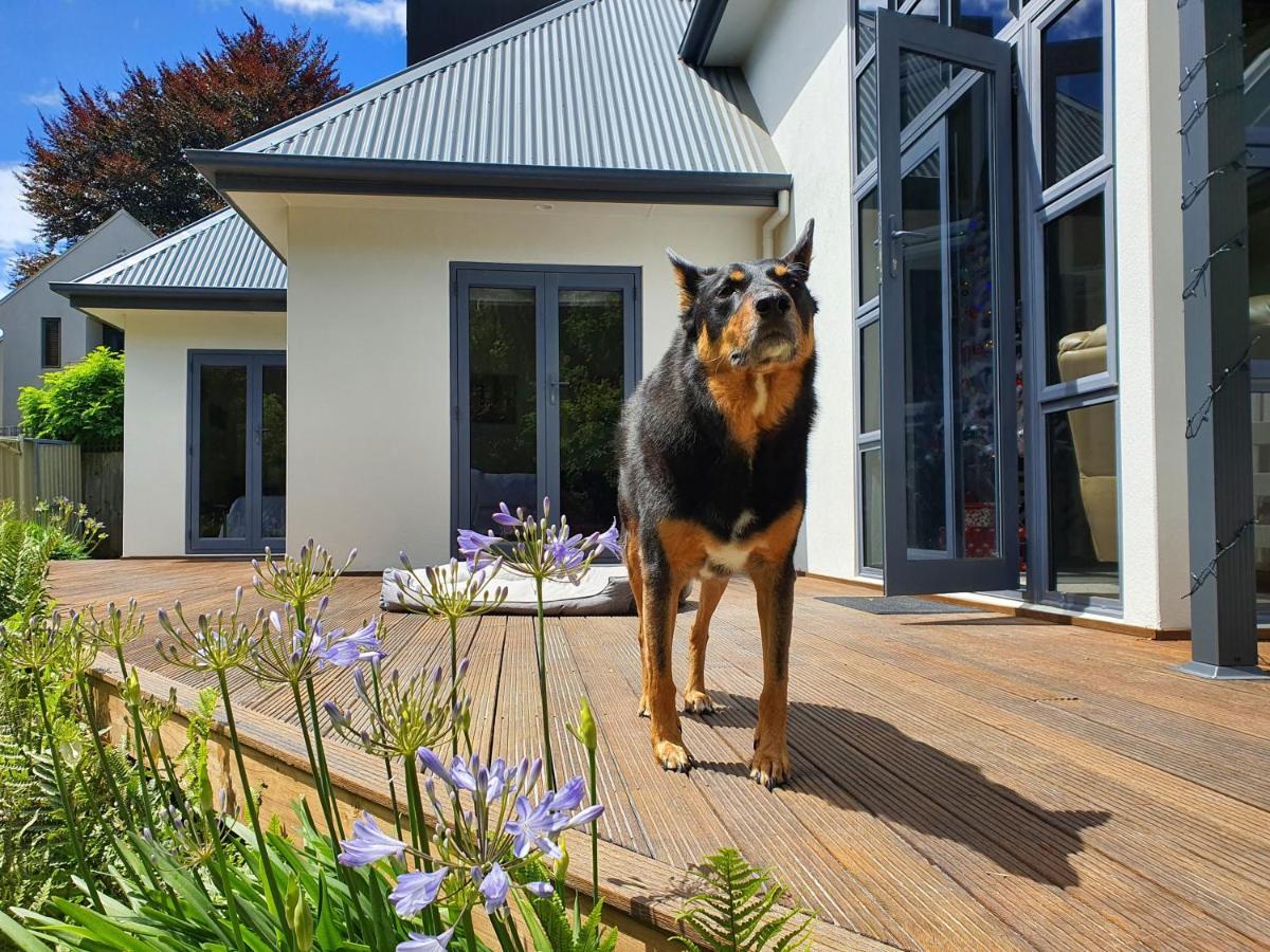 Christchurch Airport House المظهر الخارجي الصورة